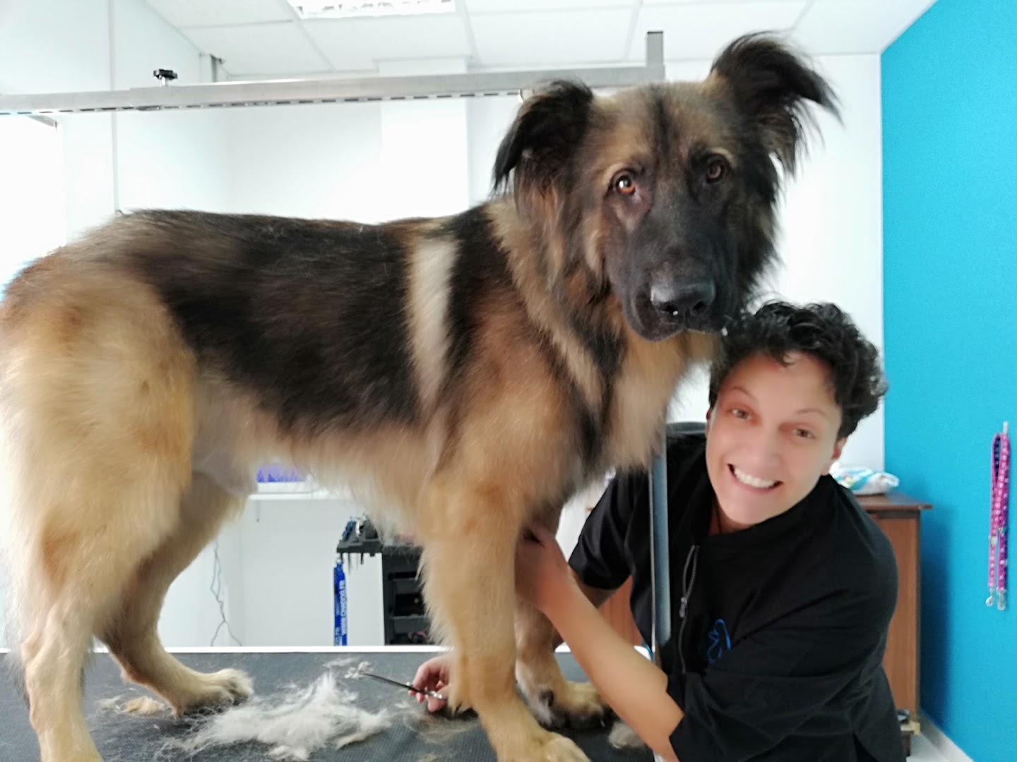 GRRR...ooming Pet Salon & Spa - Κομμωτήριο Σκύλων · Φωτογραφίες 1